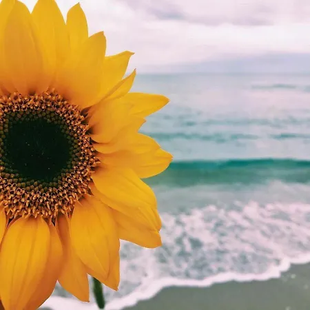 Appartamento Casa Dei Girasoli *