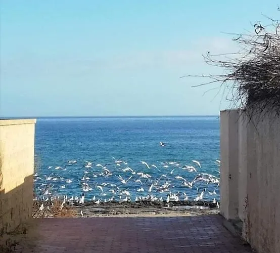 Casa Dei Girasoli Lejlighed Monopoli